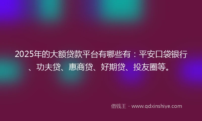 2025年的大额贷款平台有哪些有：平安口袋银行、功夫贷、惠商贷、好期贷、投友圈等。