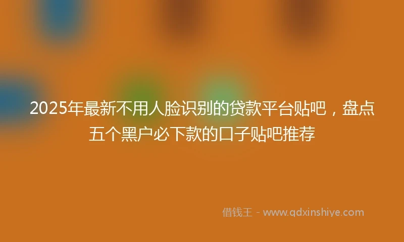 2025年最新不用人脸识别的贷款平台贴吧，盘点五个黑户必下款的口子贴吧推荐