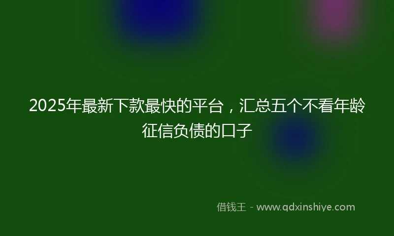 2025年最新下款最快的平台，汇总五个不看年龄征信负债的口子