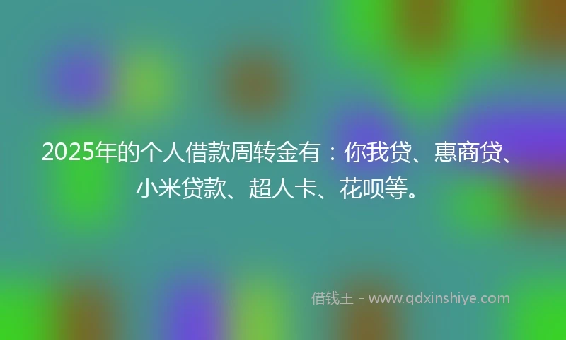 2025年的个人借款周转金有：你我贷、惠商贷、小米贷款、超人卡、花呗等。