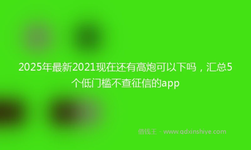 2025年最新2021现在还有高炮可以下吗，汇总5个低门槛不查征信的app