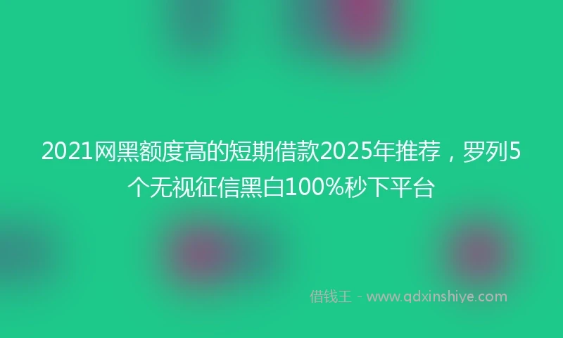 2021网黑额度高的短期借款2025年推荐，罗列5个无视征信黑白100%秒下平台