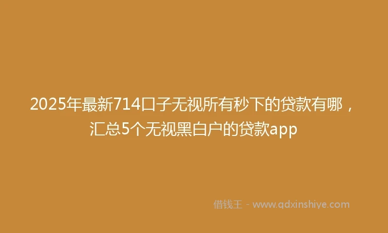 2025年最新714口子无视所有秒下的贷款有哪，汇总5个无视黑白户的贷款app
