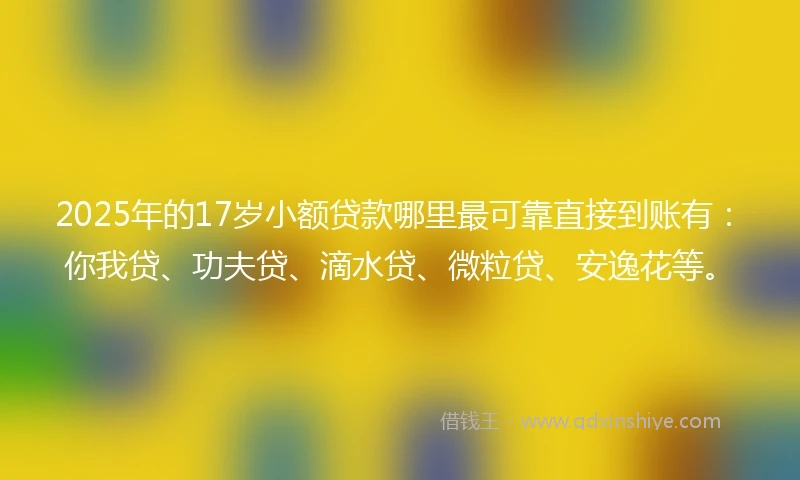 2025年的17岁小额贷款哪里最可靠直接到账有：你我贷、功夫贷、滴水贷、微粒贷、安逸花等。