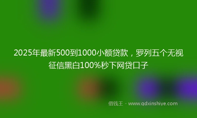 2025年最新500到1000小额贷款，罗列五个无视征信黑白100%秒下网贷口子