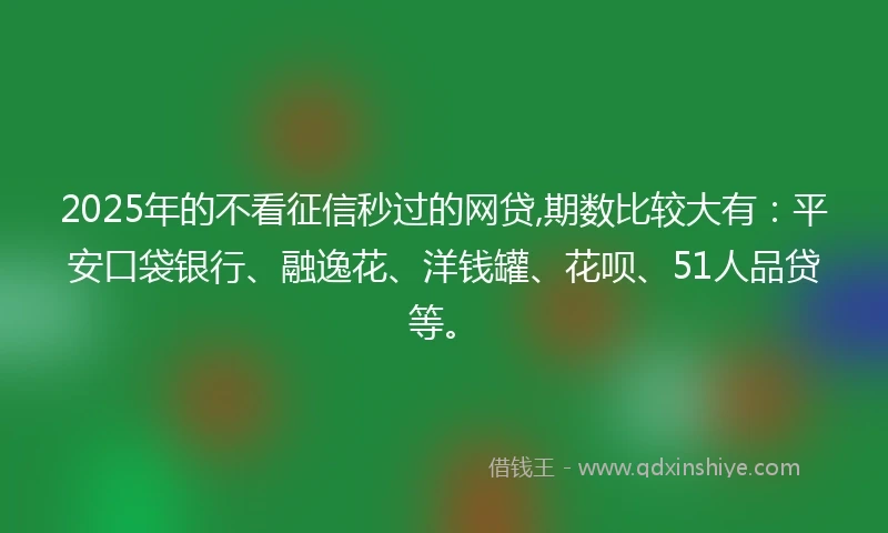 2025年的不看征信秒过的网贷,期数比较大有：平安口袋银行、融逸花、洋钱罐、花呗、51人品贷等。