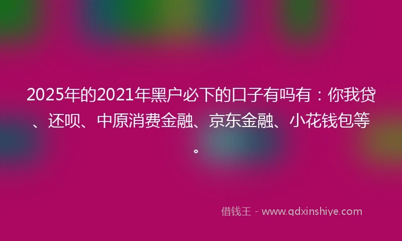 2025年的2021年黑户必下的口子有吗有:你我贷、还呗、中原消费金融、京东金融、小花钱包等。