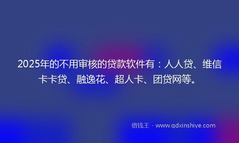 2025年的不用审核的贷款软件有：人人贷、维信卡卡贷、融逸花、超人卡、团贷网等。