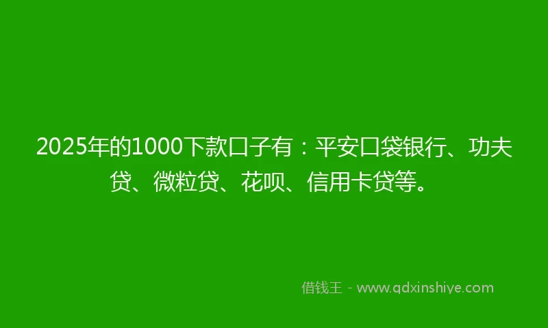 2025年的1000下款口子有：平安口袋银行、功夫贷、微粒贷、花呗、信用卡贷等。