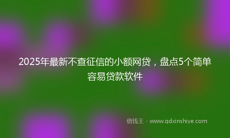 2025年最新不查征信的小额网贷，盘点5个简单容易贷款软件