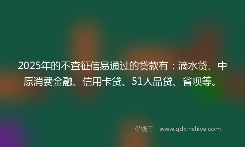 2025年的不查征信易通过的贷款有：滴水贷、中原消费金融、信用卡贷、51人品贷、省呗等。