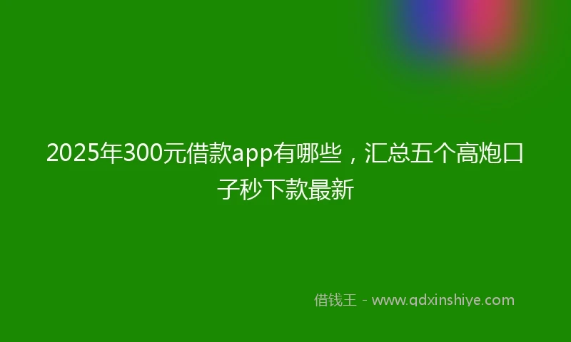 2025年300元借款app有哪些，汇总五个高炮口子秒下款最新