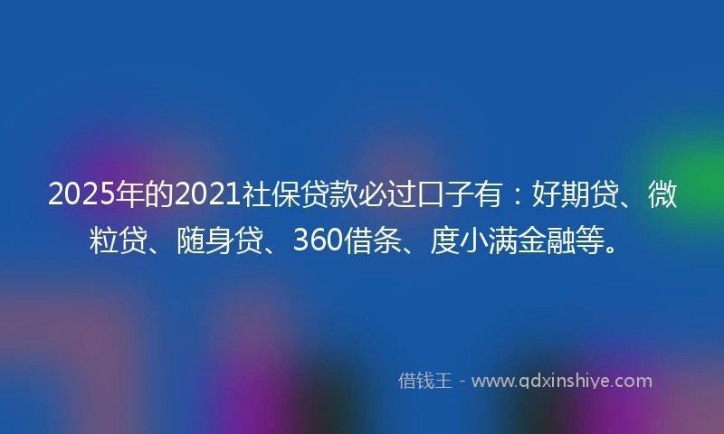 2025年的2021社保贷款必过口子有：好期贷、微粒贷、随身贷、360借条、度小满金融等。