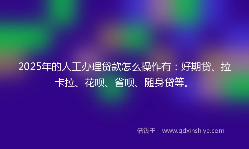 2025年的人工办理贷款怎么操作有：好期贷、拉卡拉、花呗、省呗、随身贷等。