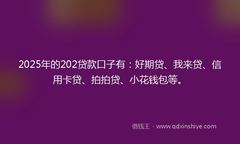 2025年的202贷款口子有：好期贷、我来贷、信用卡贷、拍拍贷、小花钱包等。