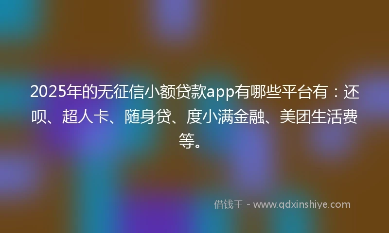 2025年的无征信小额贷款app有哪些平台有：还呗、超人卡、随身贷、度小满金融、美团生活费等。