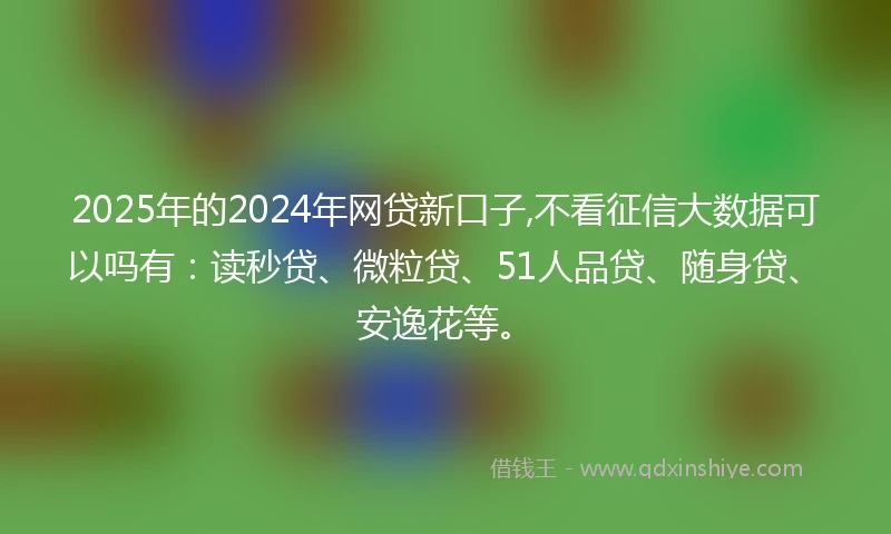 2025年的2024年网贷新口子,不看征信大数据可以吗有：读秒贷、微粒贷、51人品贷、随身贷、安逸花等。