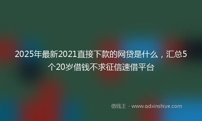 2025年最新2021直接下款的网贷是什么，汇总5个20岁借钱不求征信速借平台