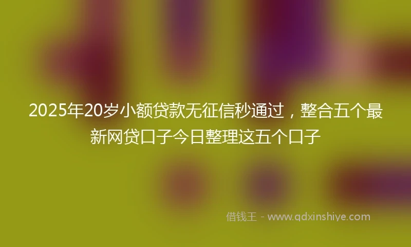 2025年20岁小额贷款无征信秒通过，整合五个最新网贷口子今日整理这五个口子