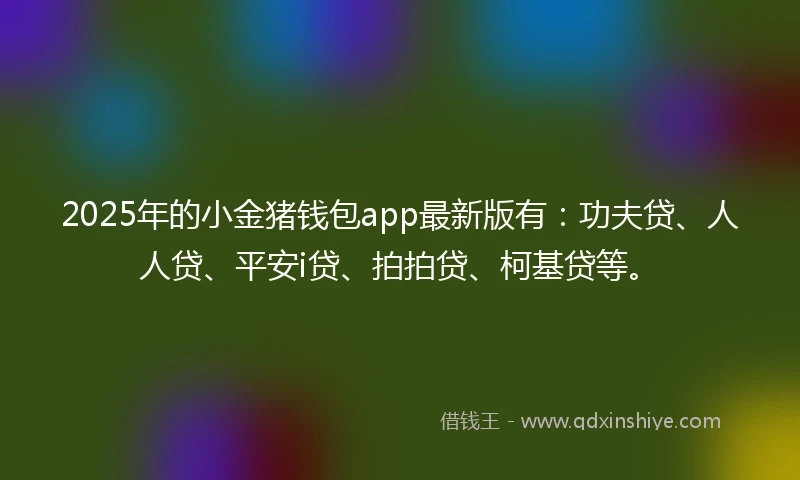 2025年的小金猪钱包app最新版有：功夫贷、人人贷、平安i贷、拍拍贷、柯基贷等。