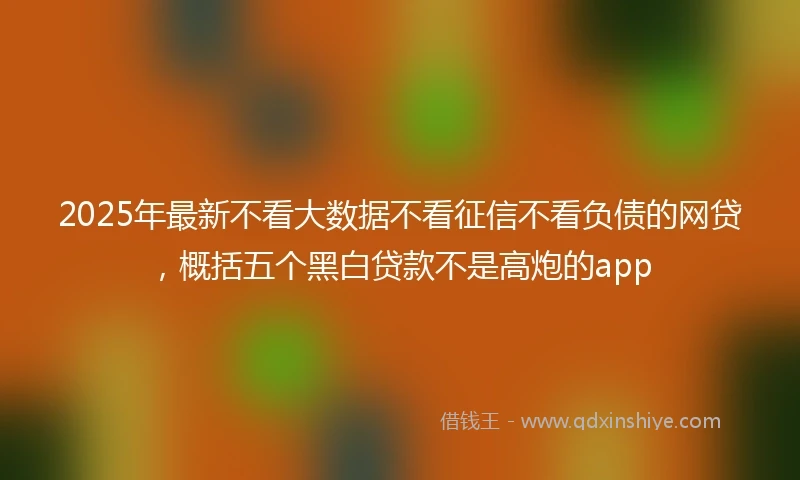 2025年最新不看大数据不看征信不看负债的网贷，概括五个黑白贷款不是高炮的app