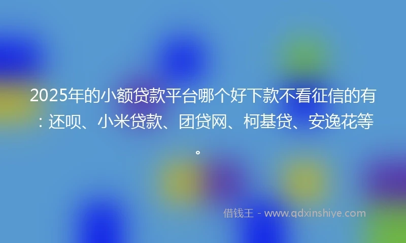 2025年的小额贷款平台哪个好下款不看征信的有：还呗、小米贷款、团贷网、柯基贷、安逸花等。