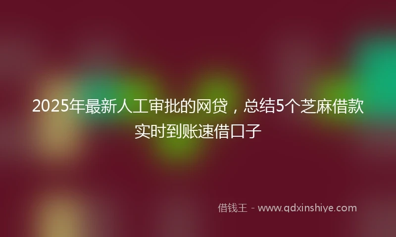 2025年最新人工审批的网贷，总结5个芝麻借款实时到账速借口子