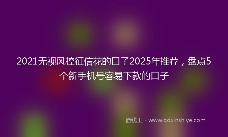 2021无视风控征信花的口子2025年推荐，盘点5个新手机号容易下款的口子