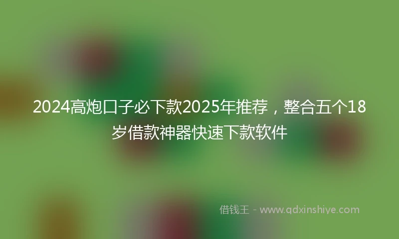 2024高炮口子必下款2025年推荐，整合五个18岁借款神器快速下款软件
