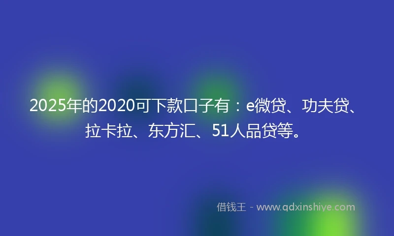 2025年的2020可下款口子有：e微贷、功夫贷、拉卡拉、东方汇、51人品贷等。