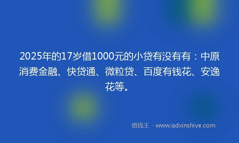 2025年的17岁借1000元的小贷有没有有：中原消费金融、快贷通、微粒贷、百度有钱花、安逸花等。