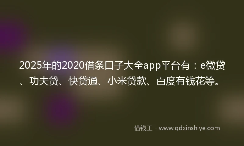 2025年的2020借条口子大全app平台有：e微贷、功夫贷、快贷通、小米贷款、百度有钱花等。
