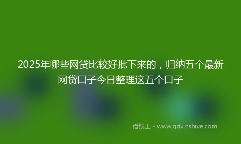 2025年哪些网贷比较好批下来的，归纳五个最新网贷口子今日整理这五个口子