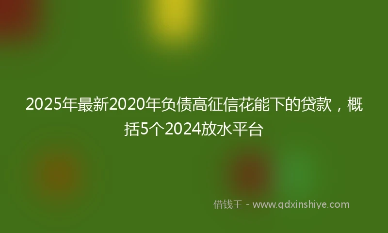 2025年最新2020年负债高征信花能下的贷款，概括5个2024放水平台