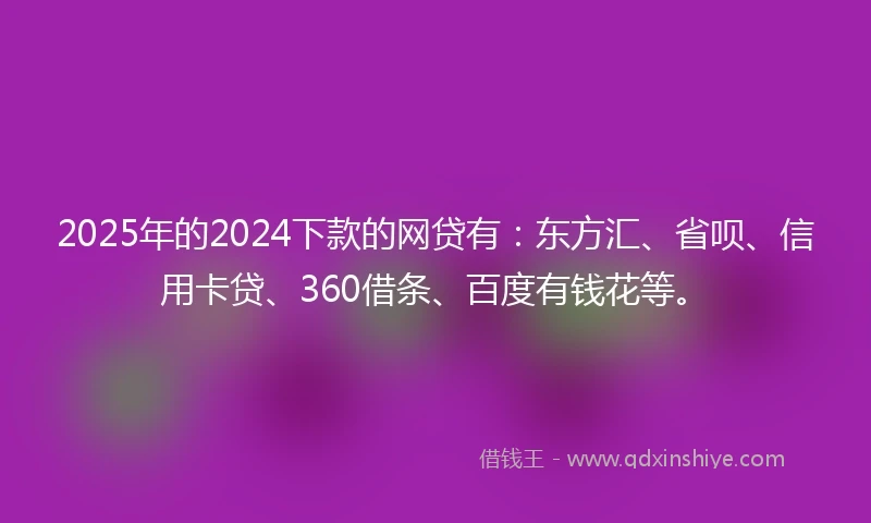2025年的2024下款的网贷有：东方汇、省呗、信用卡贷、360借条、百度有钱花等。
