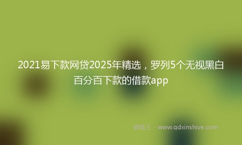 2021易下款网贷2025年精选，罗列5个无视黑白百分百下款的借款app