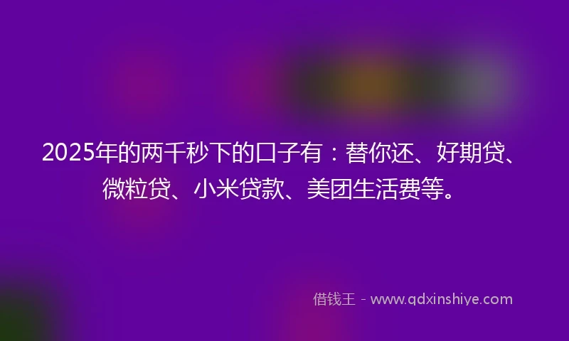 2025年的两千秒下的口子有：替你还、好期贷、微粒贷、小米贷款、美团生活费等。