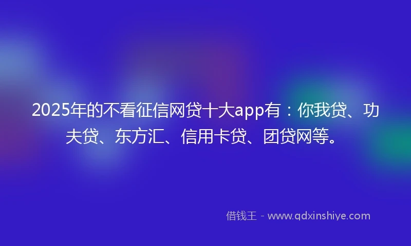 2025年的不看征信网贷十大app有：你我贷、功夫贷、东方汇、信用卡贷、团贷网等。