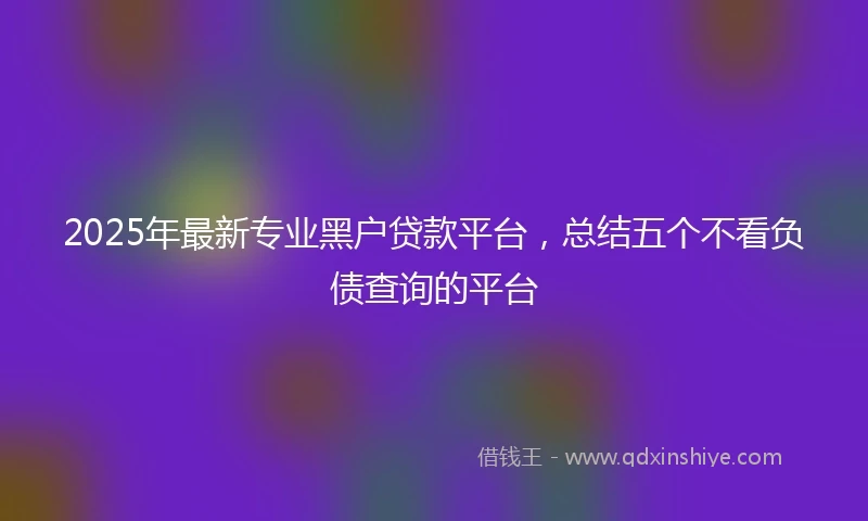 2025年最新专业黑户贷款平台，总结五个不看负债查询的平台