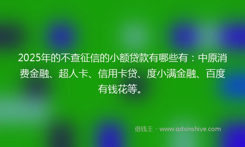2025年的不查征信的小额贷款有哪些有：中原消费金融、超人卡、信用卡贷、度小满金融、百度有钱花等。