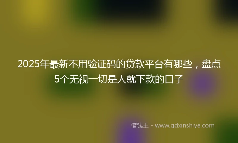 2025年最新不用验证码的贷款平台有哪些，盘点5个无视一切是人就下款的口子