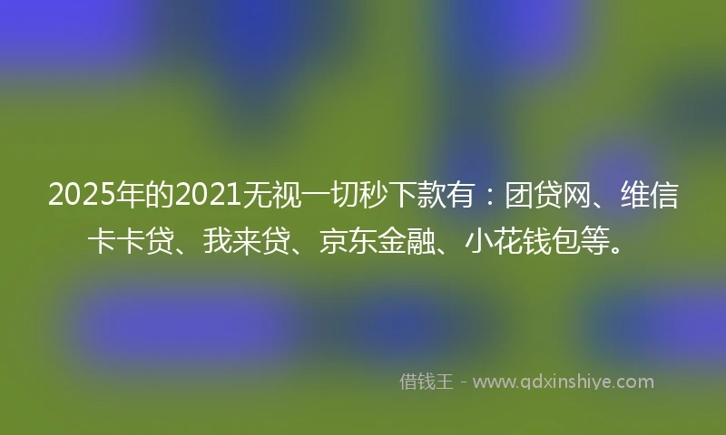 2025年的2021无视一切秒下款有：团贷网、维信卡卡贷、我来贷、京东金融、小花钱包等。