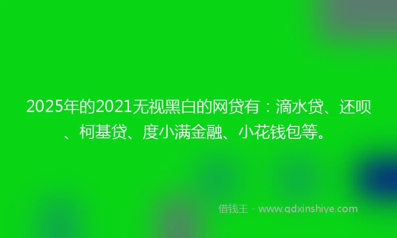 2025年的2021无视黑白的网贷有：滴水贷、还呗、柯基贷、度小满金融、小花钱包等。