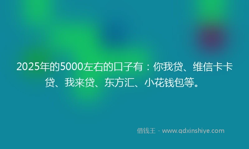 2025年的5000左右的口子有：你我贷、维信卡卡贷、我来贷、东方汇、小花钱包等。