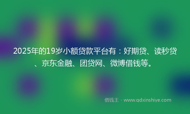 2025年的19岁小额贷款平台有：好期贷、读秒贷、京东金融、团贷网、微博借钱等。