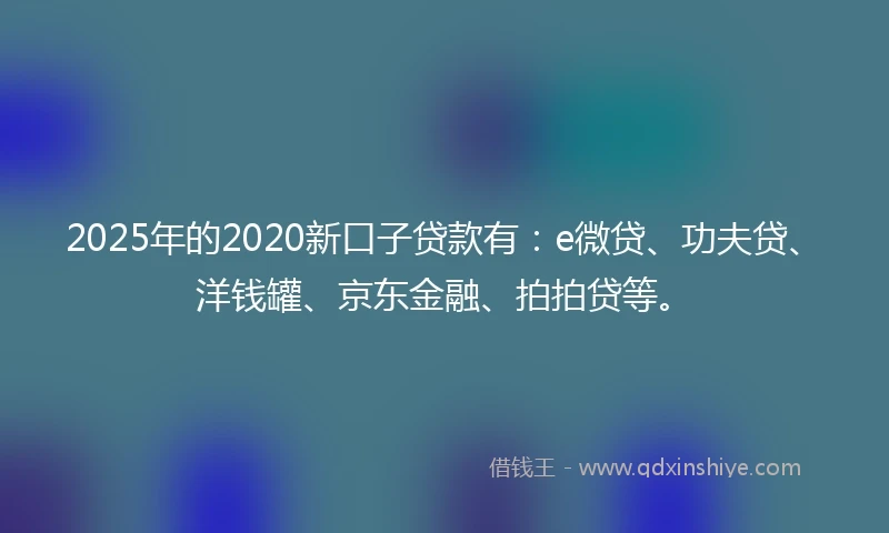 2025年的2020新口子贷款有：e微贷、功夫贷、洋钱罐、京东金融、拍拍贷等。