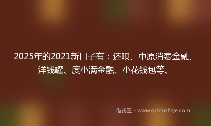 2025年的2021新口子有：还呗、中原消费金融、洋钱罐、度小满金融、小花钱包等。