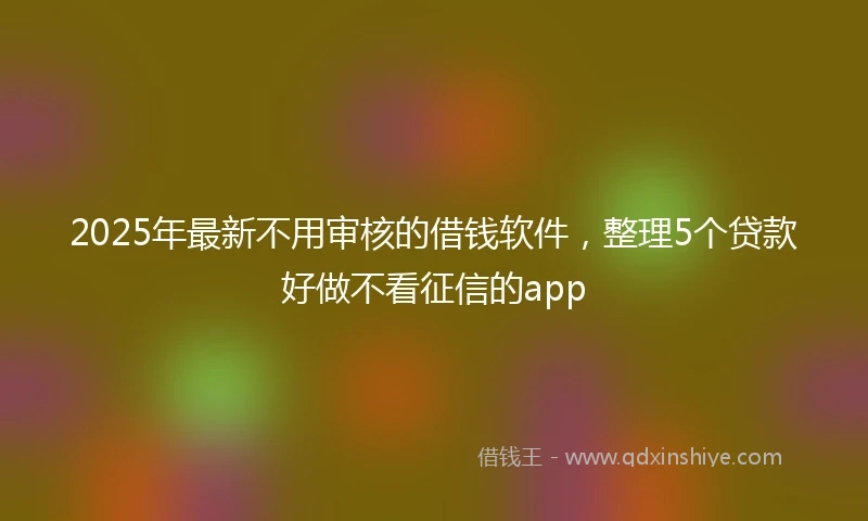 2025年最新不用审核的借钱软件，整理5个贷款好做不看征信的app