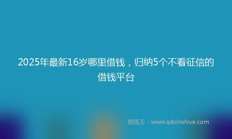 2025年最新16岁哪里借钱，归纳5个不看征信的借钱平台