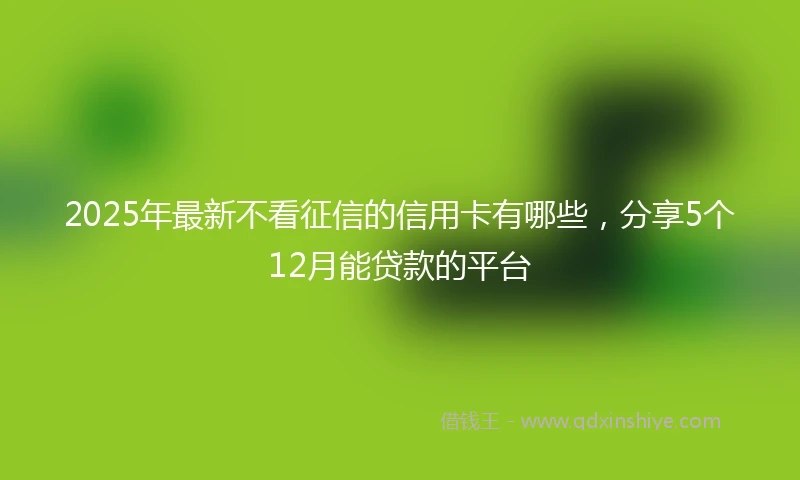 2025年最新不看征信的信用卡有哪些，分享5个12月能贷款的平台
